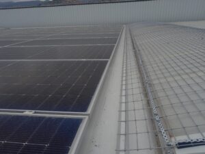 Commitment to Sustainability